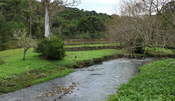 Remediação